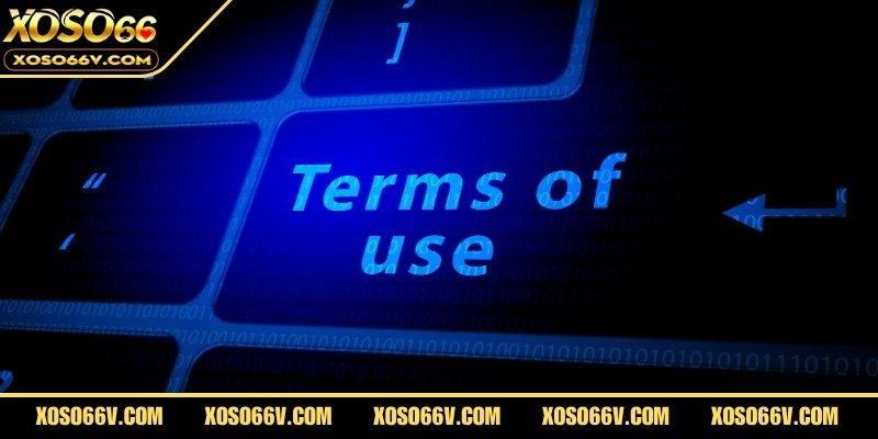 Chính sách có thể cập nhật bất kỳ lúc nào, áp dụng ngay khi công bố