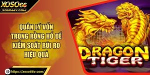Quản lý vốn trong rồng hổ để kiểm soát rủi ro hiệu quả