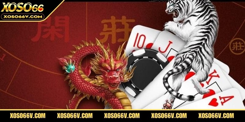 Những nguyên tắc vàng khi quản lý vốn trong rồng hổ