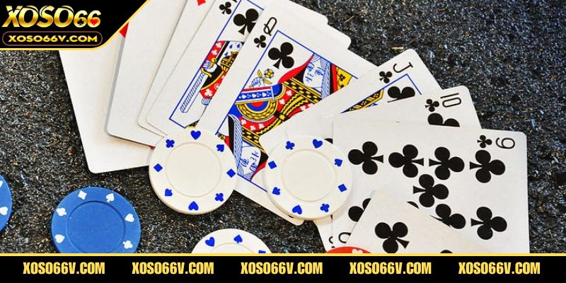Những điều tổng quát nhất về bài Tấn bạn nên biết