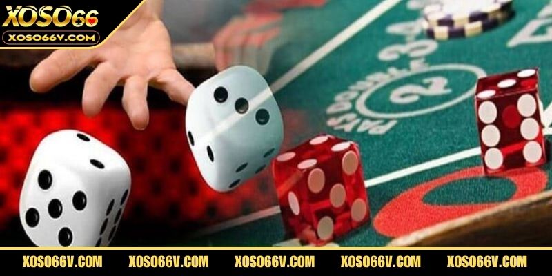 Tuyển tập những luật chơi tài xỉu newbie cần biết