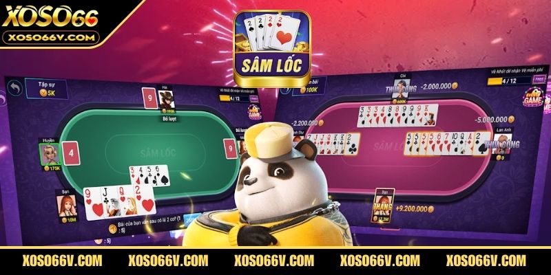 Tìm hiểu chi tiết sâm lốc là gì?